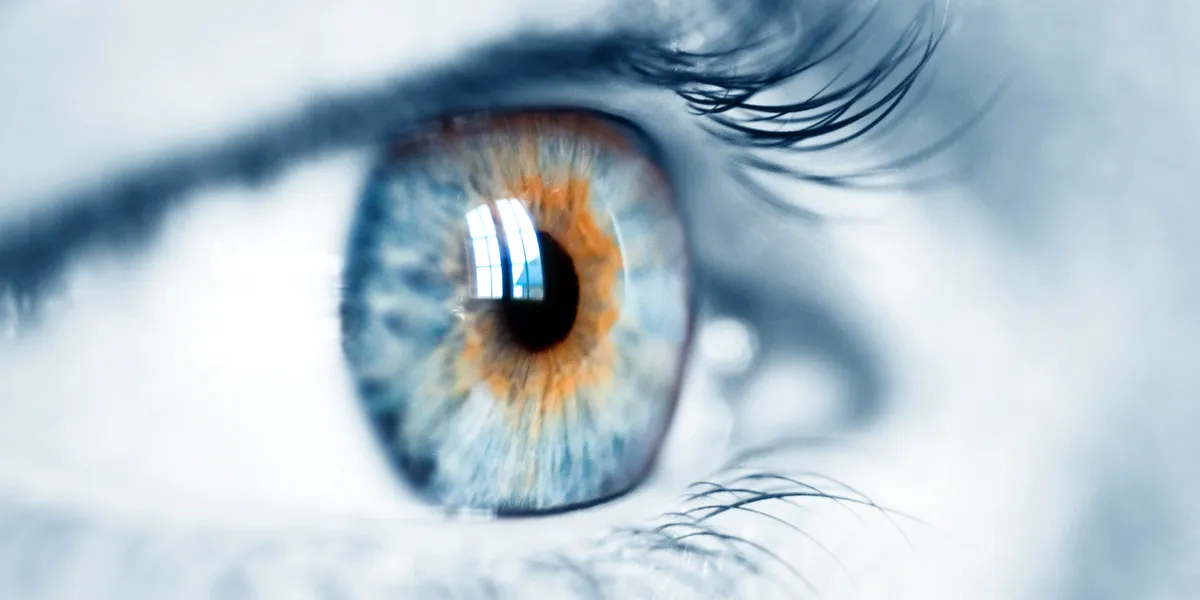 Vision